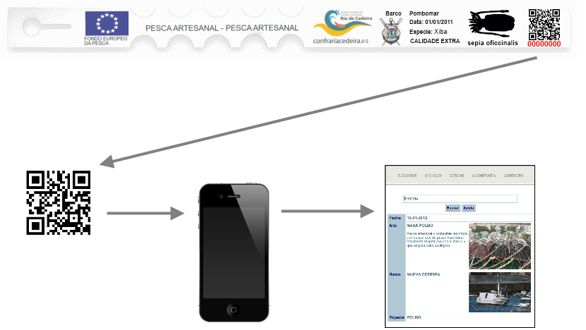 Trazamare. Esquema completo de funcionamiento